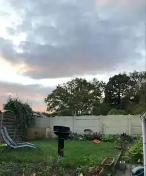 Jardin avec bord aménagé en potager productif, idéal pour légumes et herbes.