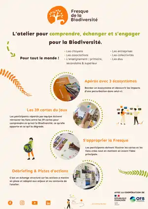atelier Fresque de la Biodiversité à Bruxelle et en Wallonie